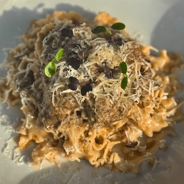Close-up of Edoardo's Trattoria's pasta dish, topped with grated cheese and fresh herbs.